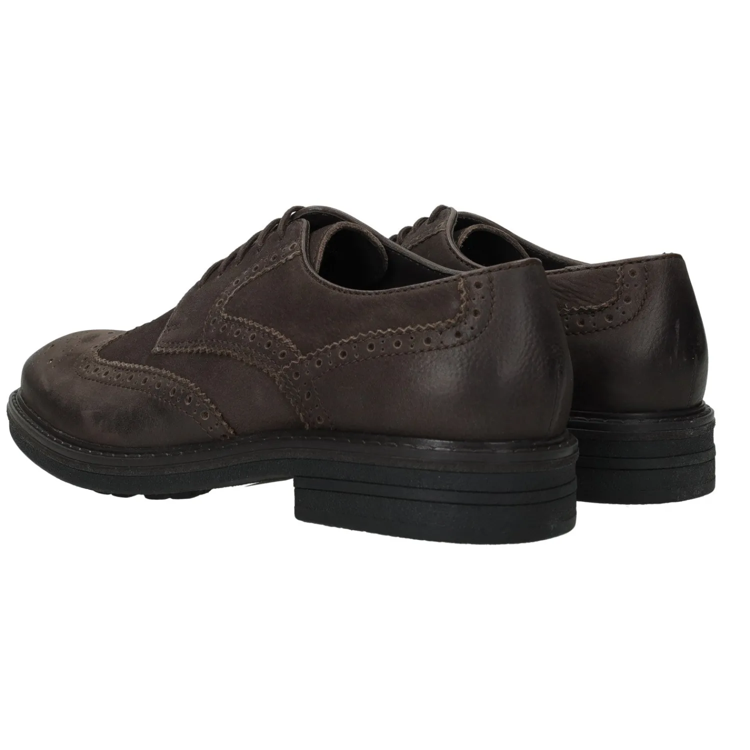Tata Italia Derby semi brogue in vera pelle New